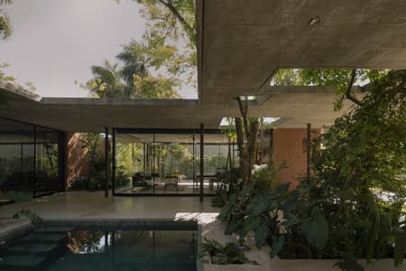 A Forest in the House